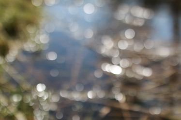 Similar image 18152059