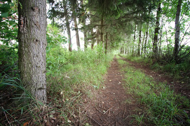 Similar image 18152104