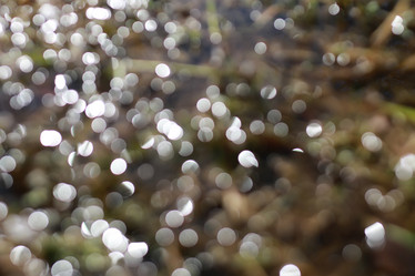 Similar image 18152248