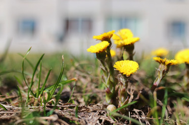 Similar image 18156295