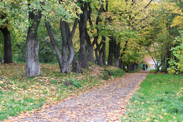 Similar image 18156696