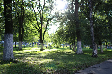 Similar image 18156871