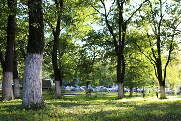 Similar image 18156503