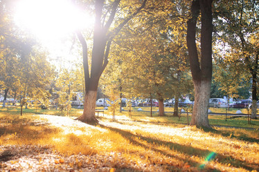 Similar image 18156541