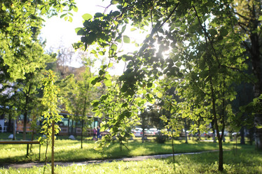 Similar image 18156657