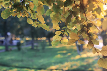 Similar image 18156778