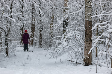 Similar image 18156751