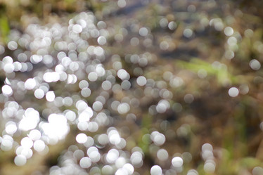 Similar image 18152305