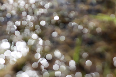 Similar image 18152342