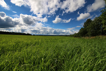 Similar image 18156701