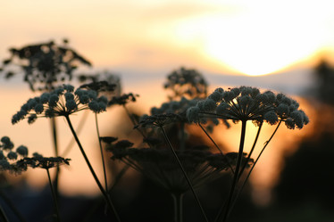 Similar image 18152062