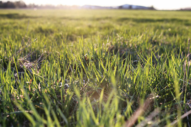 Similar image 18156755