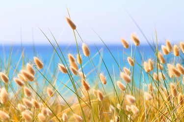 Similar image 18508761