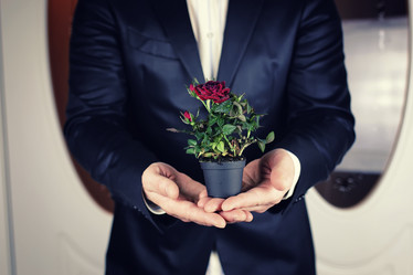 Similar image 18152004