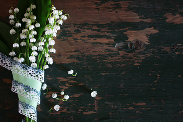 Similar image 18152310