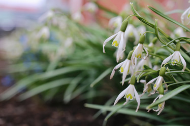 Similar image 18152150