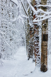 Similar image 18156161