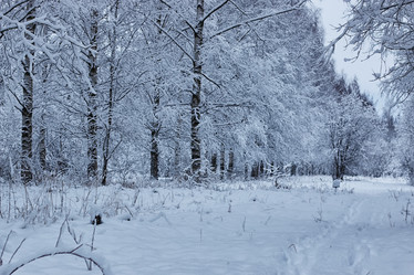 Similar image 18156323