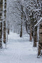 Similar image 18156365