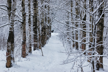 Similar image 18156466