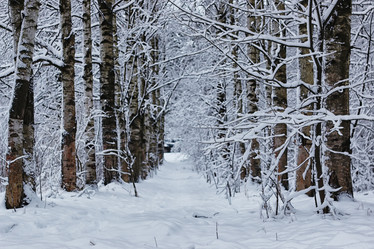 Similar image 18156506