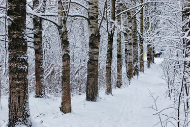 Similar image 18156545