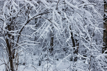 Similar image 18156585