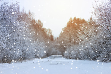 Similar image 18156596