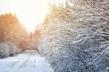 Similar image 18156662