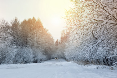 Similar image 18156783