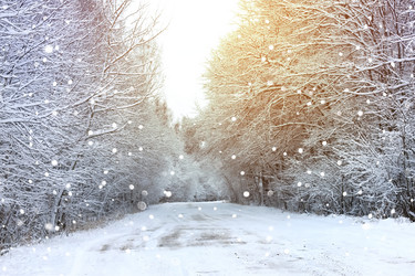 Similar image 18156821