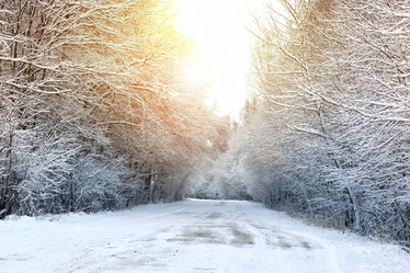 Similar image 18156858