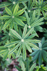 Similar image 18152228