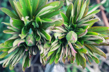 Similar image 18152293