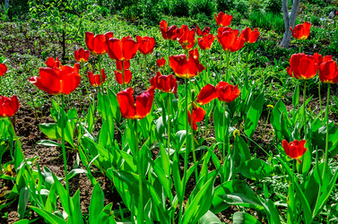 Similar image 18508363