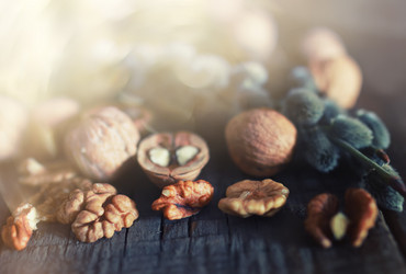 Similar image 18152110