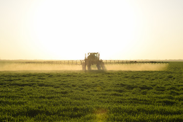 Similar image 17560479