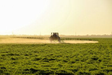 Similar image 18136717