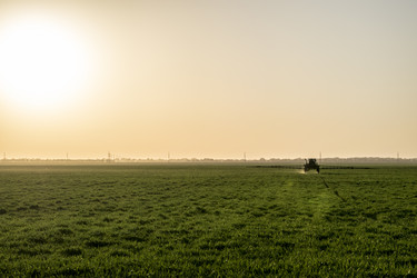 Similar image 18509839