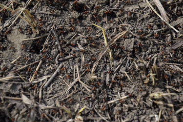 Similar image 18844444