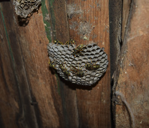 Similar image 17560482