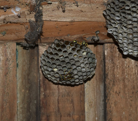 Similar image 17817056