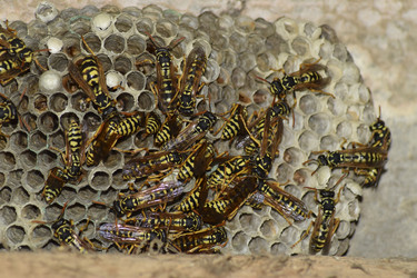 Similar image 18844443