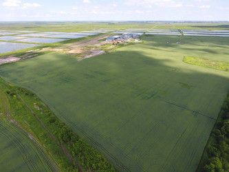 Similar image 18510164