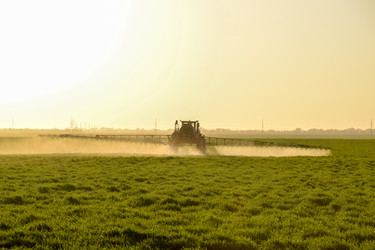 Similar image 18844451