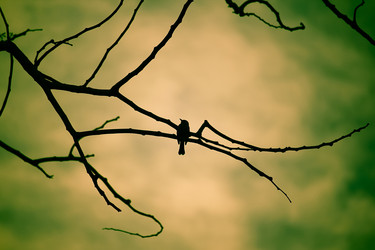 Similar image 18151883