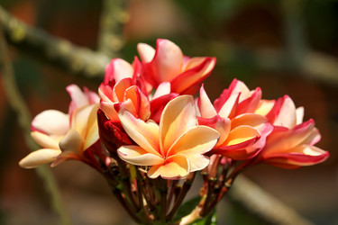 Similar image 18151900