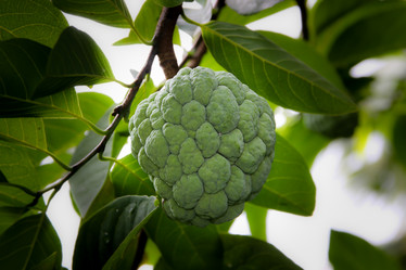 Similar image 18151935