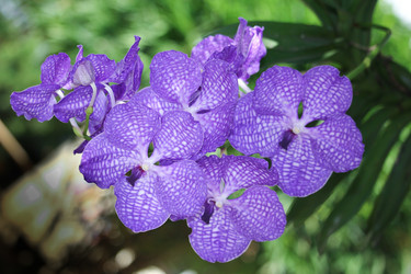 Similar image 18151888