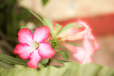 Similar image 18151889